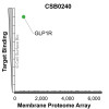 Membrane Proteome Specificity: The specificity of GLP1R Monoclonal Antibody (CSB0240) was tested on the Membrane Proteome Array™ and shown to be specific for human GLP1R. The Membrane Proteome Array™ contains 6,000 different human membrane proteins, each expressed in unfixed Human cells to ensure native conformation and post-translational modifications. The Membrane Proteome Array™ represents the industry standard for determining the binding specificity of antibodies and other protein ligands.