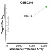Membrane Proteome Specificity: The specificity of PTH1R Monoclonal Antibody (CSB0246) was tested on the Membrane Proteome Array™ and shown to be specific for human PTH1R. The Membrane Proteome Array™ contains 6,000 different human membrane proteins, each expressed in unfixed Human cells to ensure native conformation and post-translational modifications. The Membrane Proteome Array™ represents the industry standard for determining the binding specificity of antibodies and other protein ligands.
