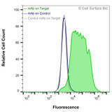 Flow Cytometry (Extracellular): HEK-293F cells transiently transfected with human CD7 were stained with CD7 Monoclonal Antibody (CSB0011) (green) or isotype control antibody (gray), followed by AlexaFluor 647-conjugated anti-Mouse IgG secondary antibody. HEK-293F cells transiently transfected with an empty control vector were also stained with CD7 Monoclonal Antibody (CSB0011) (blue).