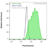 Flow Cytometry, Extracellular: HEK-293F cells transiently transfected with human CD28 were stained with CD28 Monoclonal Antibody (CSB0012) (green) or isotype control antibody (gray), followed by AlexaFluor 647- conjugated anti-Mouse IgG secondary antibody. HEK-293F cells transiently transfected with an empty control vector were also stained with CD28 Monoclonal Antibody (CSB0012) (blue).