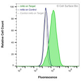 Flow Cytometry, Extracellular: HEK-293F cells transiently transfected with human VEGFA were stained with VEGFA Monoclonal Antibody (CSB0117) (green) or isotype control antibody (gray), followed by AlexaFluor 647- conjugated anti-Mouse IgG secondary antibody. HEK-293F cells transiently transfected with an empty control vector were also stained with VEGFA Monoclonal Antibody (CSB0117) (blue).
