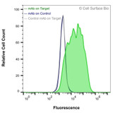 Flow Cytometry, Extracellular: HEK-293F cells transiently transfected with human GLUT4 were stained with GLUT4 Monoclonal Antibody (CSB0139) (green) or isotype control antibody (gray), followed by AlexaFluor 647- conjugated anti-Mouse IgG secondary antibody. HEK-293F cells transiently transfected with an empty control vector were also stained with GLUT4 Monoclonal Antibody (CSB0139) (blue).