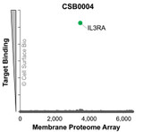Membrane Proteome Specificity: The specificity of IL3RA Monoclonal Antibody (CSB0004) was tested on the Membrane Proteome Array™ and shown to be specific for IL3RA. The Membrane Proteome Array™ contains 6,000 different human membrane proteins, each expressed in unfixed human cells to ensure native conformation and post-translational modifications. The Membrane Proteome Array™ represents the industry standard for determining the binding specificity of antibodies and other protein ligands.