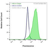 Flow Cytometry, Extracellular: HEK-293F cells transiently transfected with C5AR1 were stained with C5AR1 Monoclonal Antibody (CSB0027) (green) or isotype control antibody (gray), followed by AlexaFluor 647- conjugated anti- IgG secondary antibody. HEK-293F cells transiently transfected with an empty control vector were also stained with C5AR1 Monoclonal Antibody (CSB0027) (blue).