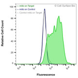 Flow Cytometry, Extracellular: HEK-293F cells transiently transfected with CD20 were stained with CD20 Monoclonal Antibody (CSB0019) (green) or isotype control antibody (gray), followed by AlexaFluor 647- conjugated anti- IgG secondary antibody. HEK-293F cells transiently transfected with an empty control vector were also stained with CD20 Monoclonal Antibody (CSB0019) (blue).