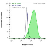 Flow Cytometry, Extracellular: HEK-293F cells transiently transfected with human OLR1 were stained with OLR1 Monoclonal Antibody (CSB0061) (green) or isotype control antibody (gray), followed by AlexaFluor 647- conjugated anti-Mouse IgG secondary antibody. HEK-293F cells transiently transfected with an empty control vector were also stained with OLR1 Monoclonal Antibody (CSB0061) (blue).