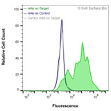 Flow Cytometry, Extracellular: JS-1 cells transiently transfected with SLC3A2 were stained with SLC3A2 Monoclonal Antibody (CSB0098) (green) or isotype control antibody (gray), followed by AlexaFluor 647- conjugated anti- IgG secondary antibody. JS-1 cells transiently transfected with an empty control vector were also stained with SLC3A2 Monoclonal Antibody (CSB0098) (blue).