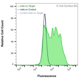 Flow Cytometry, Extracellular: HEK-293F cells transiently transfected with Claudin-5 were stained with Claudin-5 Monoclonal Antibody (CSB0169) (green) or isotype control antibody (gray), followed by AlexaFluor 647- conjugated anti- IgG secondary antibody. HEK-293F cells transiently transfected with an empty control vector were also stained with Claudin-5 Monoclonal Antibody (CSB0169) (blue).