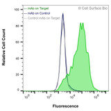 Flow Cytometry, Extracellular: HEK-293F cells transiently transfected with MRGPRX4 were stained with MRGPRX4 Monoclonal Antibody (CSB0176) (green) or isotype control antibody (gray), followed by AlexaFluor 647- conjugated anti- IgG secondary antibody. HEK-293F cells transiently transfected with an empty control vector were also stained with MRGPRX4 Monoclonal Antibody (CSB0176) (blue).