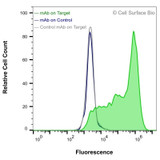 Flow Cytometry, Extracellular: HEK-F cells transiently transfected with MPL were stained with MPL Monoclonal Antibody (CSB0237) (green) or isotype control antibody (gray), followed by AlexaFluor 647- conjugated anti- IgG secondary antibody. HEK-F cells transiently transfected with an empty control vector were also stained with MPL Monoclonal Antibody (CSB0237) (blue).