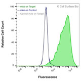 Flow Cytometry, Extracellular: HEK-F cells transiently transfected with GPRC5D were stained with GPRC5D Monoclonal Antibody (CSB0219) (green) or isotype control antibody (gray), followed by AlexaFluor 647- conjugated anti- IgG secondary antibody. HEK-F cells transiently transfected with an empty control vector were also stained with GPRC5D Monoclonal Antibody (CSB0219) (blue).
