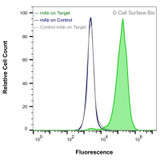 Flow Cytometry, Extracellular: HEK-F cells transiently transfected with P2X7 were stained with P2X7 Monoclonal Antibody (CSB0184) (green) or isotype control antibody (gray), followed by AlexaFluor 647- conjugated anti- IgG secondary antibody. HEK-F cells transiently transfected with an empty control vector were also stained with P2X7 Monoclonal Antibody (CSB0184) (blue).