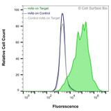 Flow Cytometry, Extracellular: HEK-F cells transiently transfected with CD4 were stained with CD4 Monoclonal Antibody (CSB0228) (green) or isotype control antibody (gray), followed by AlexaFluor 647- conjugated anti- IgG secondary antibody. HEK-F cells transiently transfected with an empty control vector were also stained with CD4 Monoclonal Antibody (CSB0228) (blue).