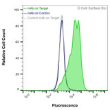 Flow Cytometry, Extracellular: HEK-F cells transiently transfected with pig CD11b were stained with CD11b Monoclonal Antibody (CSB0231) (green) or isotype control antibody (gray), followed by AlexaFluor 647- conjugated anti- IgG secondary antibody. HEK-F cells transiently transfected with an empty control vector were also stained with CD11b Monoclonal Antibody (CSB0231) (blue).