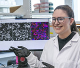 Antibody Startup Emerges from Stealth: Cell Surface Bio Set to Transform the $10B Antibody Reagent Market