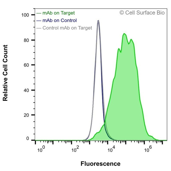 Flow Cytometry, Extracellular: HEK-293F cells transiently transfected with human APOE were stained with APOE Monoclonal Antibody (CSB0031) (green) or isotype control antibody (gray), followed by AlexaFluor 647- conjugated anti-Mouse IgG secondary antibody. HEK-293F cells transiently transfected with an empty control vector were also stained with APOE Monoclonal Antibody (CSB0031) (blue).