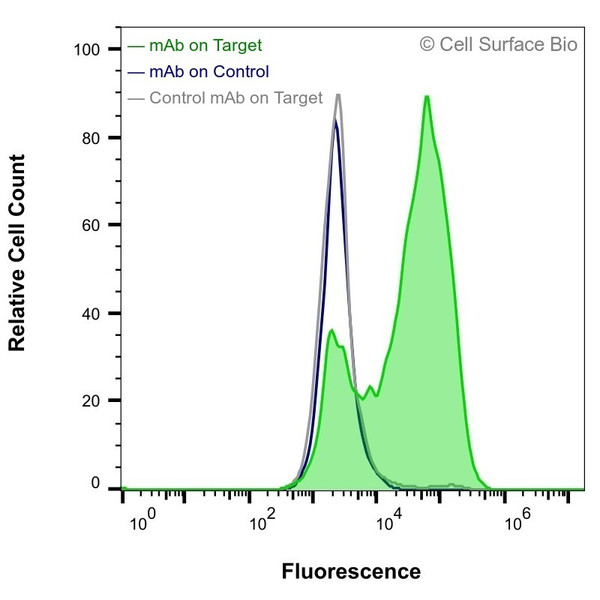 Flow Cytometry, Extracellular: HEK-293F cells transiently transfected with human TNF were stained with TNF Monoclonal Antibody (CSB0050) (green) or isotype control antibody (gray), followed by AlexaFluor 647- conjugated anti-Mouse IgG secondary antibody. HEK-293F cells transiently transfected with an empty control vector were also stained with TNF Monoclonal Antibody (CSB0050) (blue).