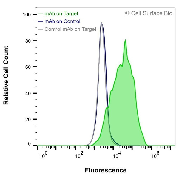 Flow Cytometry (Extracellular): HEK-293F cells transiently transfected with human CEACAM5 were stained with CEACAM5 Monoclonal Antibody (CSB0077) (green) or isotype control antibody (gray), followed by AlexaFluor 647-conjugated anti-Mouse IgG secondary antibody. HEK-293F cells transiently transfected with an empty control vector were also stained with CEACAM5 Monoclonal Antibody (CSB0077) (blue).