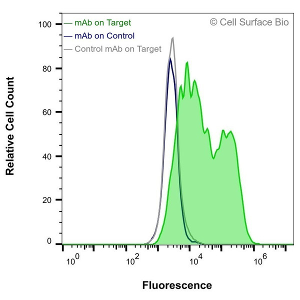 Flow Cytometry (Extracellular): HEK-293F cells transiently transfected with human HER3 were stained with HER3 Monoclonal Antibody (CSB0082) (green) or isotype control antibody (gray), followed by AlexaFluor 647-conjugated anti-Mouse IgG secondary antibody. HEK-293F cells transiently transfected with an empty control vector were also stained with HER3 Monoclonal Antibody (CSB0082) (blue).