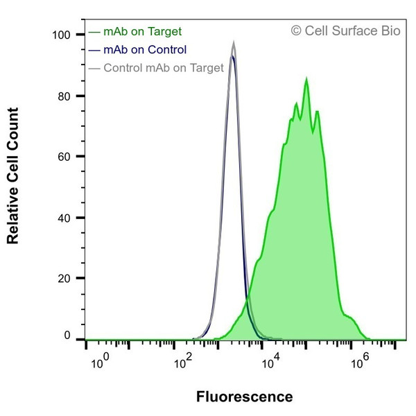 Flow Cytometry, Extracellular: HEK-293F cells transiently transfected with human IL3RA were stained with IL3RA Monoclonal Antibody (CSB0115) (green) or isotype control antibody (gray), followed by AlexaFluor 647- conjugated anti-Mouse IgG secondary antibody. HEK-293F cells transiently transfected with an empty control vector were also stained with IL3RA Monoclonal Antibody (CSB0115) (blue).