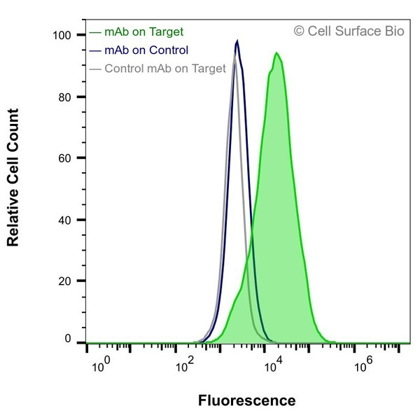 Flow Cytometry, Extracellular: HEK-293F cells transiently transfected with human VEGFA were stained with VEGFA Monoclonal Antibody (CSB0117) (green) or isotype control antibody (gray), followed by AlexaFluor 647- conjugated anti-Mouse IgG secondary antibody. HEK-293F cells transiently transfected with an empty control vector were also stained with VEGFA Monoclonal Antibody (CSB0117) (blue).