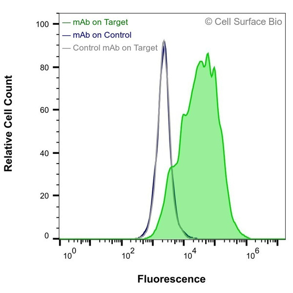 Flow Cytometry (Extracellular): HEK-293F cells transiently transfected with human OLR1 were stained with OLR1 Monoclonal Antibody (CSB0036) (green) or isotype control antibody (gray), followed by AlexaFluor 647-conjugated anti-Mouse IgG secondary antibody. HEK-293F cells transiently transfected with an empty control vector were also stained with OLR1 Monoclonal Antibody (CSB0036) (blue).