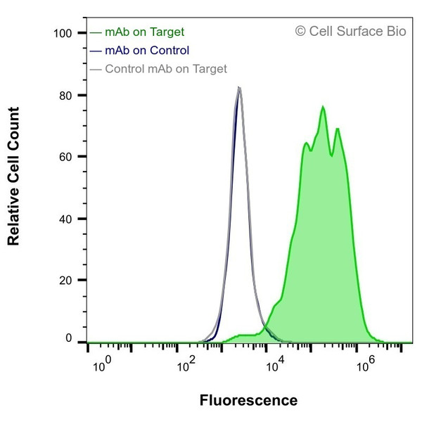 Flow Cytometry, Extracellular: HEK-293F cells transiently transfected with human GLUT4 were stained with GLUT4 Monoclonal Antibody (CSB0148) (green) or isotype control antibody (gray), followed by AlexaFluor 647- conjugated anti-Human IgG secondary antibody. HEK-293F cells transiently transfected with an empty control vector were also stained with GLUT4 Monoclonal Antibody (CSB0148) (blue).
