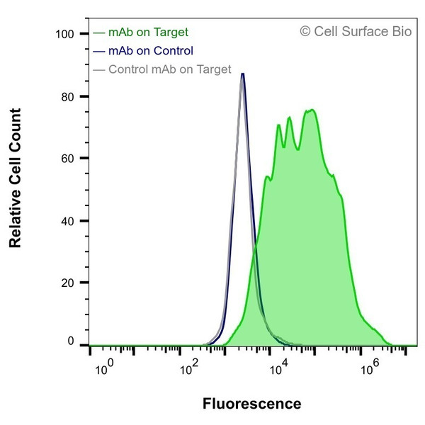 Flow Cytometry, Extracellular: HEK-293F cells transiently transfected with human IL2Ra were stained with IL2Ra Monoclonal Antibody (CSB0026) (green) or isotype control antibody (gray), followed by AlexaFluor 647- conjugated anti-Mouse IgG secondary antibody. HEK-293F cells transiently transfected with an empty control vector were also stained with IL2Ra Monoclonal Antibody (CSB0026) (blue).