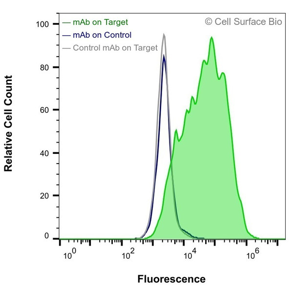 Flow Cytometry, Extracellular: HEK-293F cells transiently transfected with human CD2 were stained with CD2 Monoclonal Antibody (CSB0029) (green) or isotype control antibody (gray), followed by AlexaFluor 647- conjugated anti-Mouse IgG secondary antibody. HEK-293F cells transiently transfected with an empty control vector were also stained with CD2 Monoclonal Antibody (CSB0029) (blue).