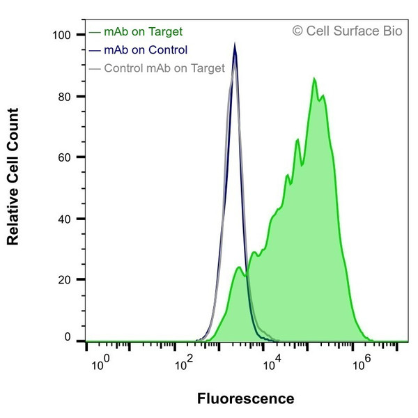 Flow Cytometry, Extracellular: HEK-293F cells transiently transfected with Chikungunya Virus E1/E2 were stained with Chikungunya Virus E1/E2 Monoclonal Antibody (CSB0125) (green) or isotype control antibody (gray), followed by AlexaFluor 647- conjugated anti-Mouse IgG secondary antibody. HEK-293F cells transiently transfected with an empty control vector were also stained with Chikungunya Virus E1/E2 Monoclonal Antibody (CSB0125) (blue).