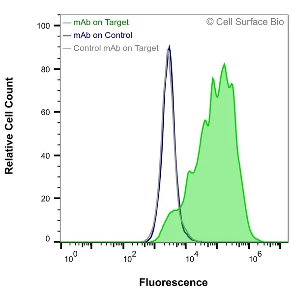 Flow Cytometry (Extracellular): HEK-293F cells transiently transfected with Chikungunya Virus E2 were stained with the Chikungunya Virus E2 Monoclonal Antibody (CSB0009) (green) or isotype control antibody (gray), followed by AlexaFluor 647-conjugated anti-Mouse IgG secondary antibody. HEK-293F cells transiently transfected with an empty control vector were also stained with the Chikungunya Virus E2 Monoclonal Antibody (CSB0009) (blue).