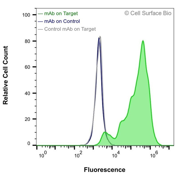 Flow Cytometry, Extracellular: JS-1 cells transiently transfected with human EGFR were stained with EGFR Monoclonal Antibody (CSB0016) (green) or isotype control antibody (gray), followed by AlexaFluor 647- conjugated anti-Mouse IgG secondary antibody. JS-1 cells transiently transfected with an empty control vector were also stained with EGFR Monoclonal Antibody (CSB0016) (blue).