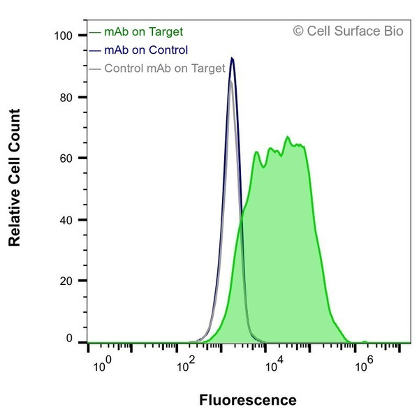 Flow Cytometry, Extracellular: JS-1 cells transiently transfected with human MET were stained with MET Monoclonal Antibody (CSB0143) (green) or isotype control antibody (gray), followed by AlexaFluor 647- conjugated anti-Mouse IgG secondary antibody. JS-1 cells transiently transfected with an empty control vector were also stained with MET Monoclonal Antibody (CSB0143) (blue).
