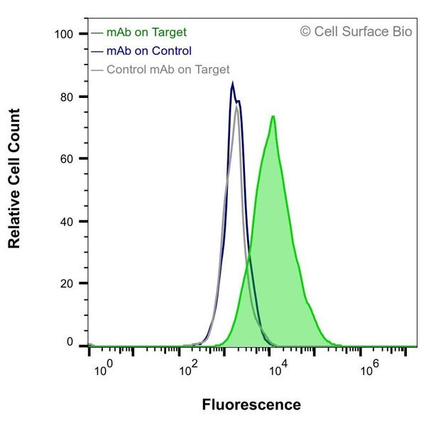 Flow Cytometry, Extracellular: JS-1 cells transiently transfected with human VEGFA were stained with VEGFA Monoclonal Antibody (CSB0075) (green) or isotype control antibody (gray), followed by AlexaFluor 647- conjugated anti-Mouse IgG secondary antibody. JS-1 cells transiently transfected with an empty control vector were also stained with VEGFA Monoclonal Antibody (CSB0075) (blue).