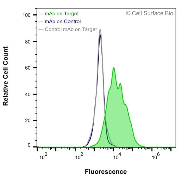 Flow Cytometry, Extracellular: JS-1 cells transiently transfected with human VEGFA were stained with VEGFA Monoclonal Antibody (CSB0068) (green) or isotype control antibody (gray), followed by AlexaFluor 647- conjugated anti-Mouse IgG secondary antibody. JS-1 cells transiently transfected with an empty control vector were also stained with VEGFA Monoclonal Antibody (CSB0068) (blue).