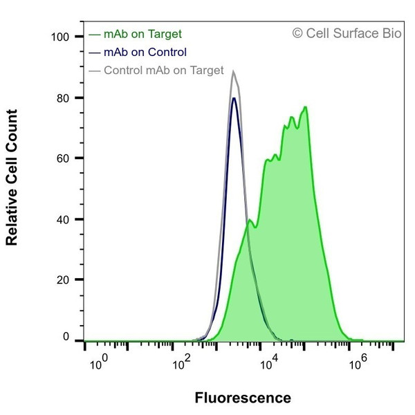 Flow Cytometry, Extracellular: HEK-293F cells transiently transfected with human TSPAN7 were stained with TSPAN7 Monoclonal Antibody (CSB0158) (green) or isotype control antibody (gray), followed by AlexaFluor 647- conjugated anti-Mouse IgG secondary antibody. HEK-293F cells transiently transfected with an empty control vector were also stained with TSPAN7 Monoclonal Antibody (CSB0158) (blue).