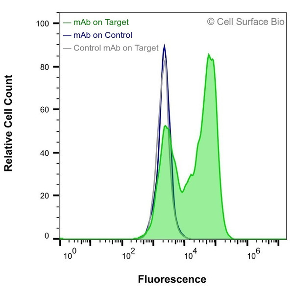 Flow Cytometry, Extracellular: HEK-293F cells transiently transfected with human TSPAN13 were stained with TSPAN13 Monoclonal Antibody (CSB0163) (green) or isotype control antibody (gray), followed by AlexaFluor 647- conjugated anti-Mouse IgG secondary antibody. HEK-293F cells transiently transfected with an empty control vector were also stained with TSPAN13 Monoclonal Antibody (CSB0163) (blue).