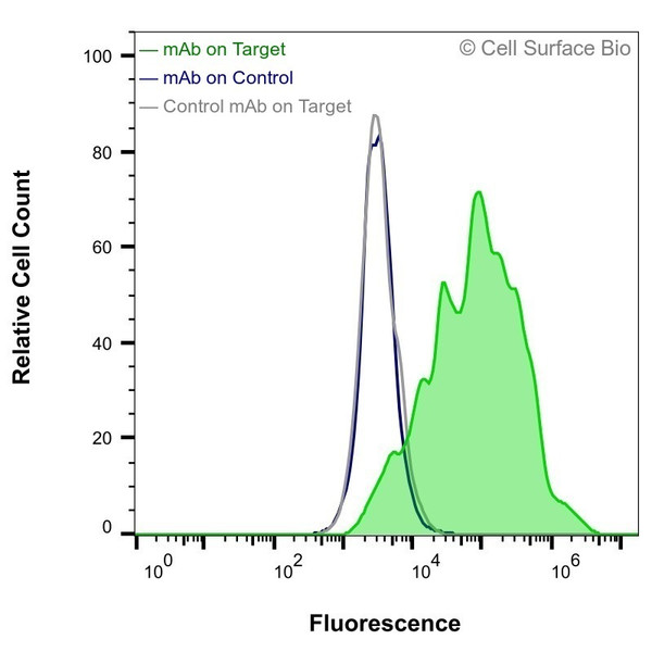 Flow Cytometry, Extracellular: HEK-293F cells transiently transfected with human LILRB3 were stained with LILRB3 Monoclonal Antibody (CSB0162) (green) or isotype control antibody (gray), followed by AlexaFluor 647- conjugated anti-Mouse IgG secondary antibody. HEK-293F cells transiently transfected with an empty control vector were also stained with LILRB3 Monoclonal Antibody (CSB0162) (blue).