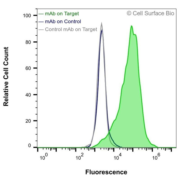 Flow Cytometry, Extracellular: HEK-293F cells transiently transfected with human CDH17 were stained with CDH17 Monoclonal Antibody (CSB0178) (green) or isotype control antibody (gray), followed by AlexaFluor 647- conjugated anti-Mouse IgG secondary antibody. HEK-293F cells transiently transfected with an empty control vector were also stained with CDH17 Monoclonal Antibody (CSB0178) (blue).