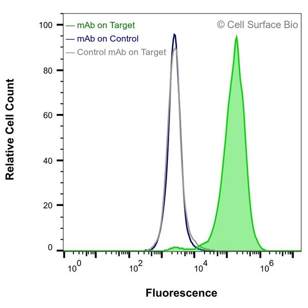 Flow Cytometry, Extracellular: HEK-F cells transiently transfected with P2X7 were stained with P2X7 Monoclonal Antibody (CSB0184) (green) or isotype control antibody (gray), followed by AlexaFluor 647- conjugated anti- IgG secondary antibody. HEK-F cells transiently transfected with an empty control vector were also stained with P2X7 Monoclonal Antibody (CSB0184) (blue).