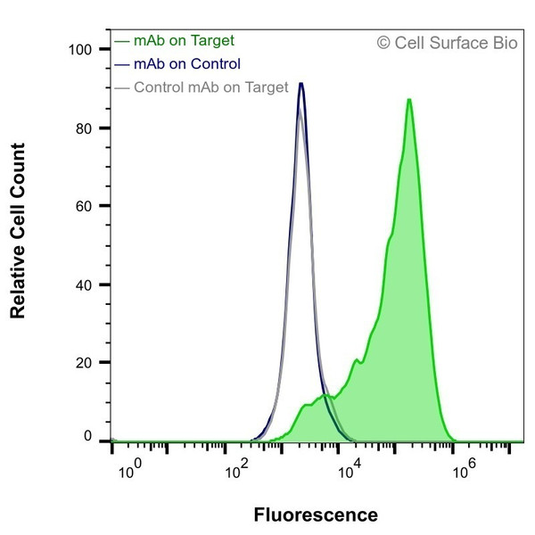 Flow Cytometry, Extracellular: JS-1 cells transiently transfected with human GLP1R were stained with GLP1R Monoclonal Antibody (CSB0239) (green) or isotype control antibody (gray), followed by AlexaFluor 647- conjugated anti- IgG secondary antibody. JS-1 cells transiently transfected with an empty control vector were also stained with GLP1R Monoclonal Antibody (CSB0239) (blue).