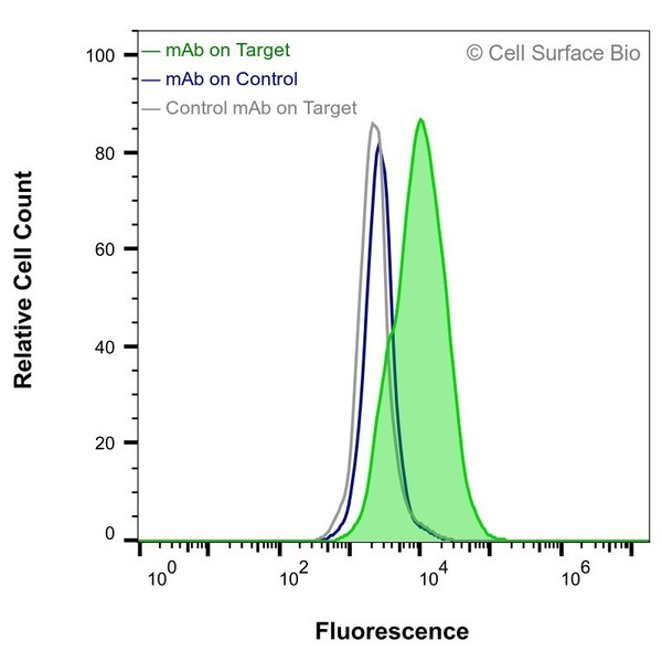 Flow Cytometry, Extracellular: HEK-F cells transiently transfected with SLC2A2 were stained with SLC2A2 Monoclonal Antibody (CSB0260) (green) or isotype control antibody (gray), followed by AlexaFluor 647- conjugated anti- IgG secondary antibody. HEK-F cells transiently transfected with an empty control vector were also stained with SLC2A2 Monoclonal Antibody (CSB0260) (blue).