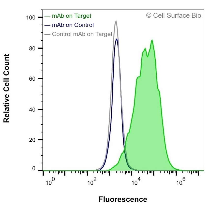 GLUT4 Mab flow cytometry