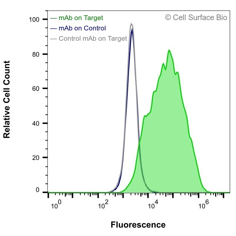 csb0004-il3ra-antibody-extra-fc-original-.jpg