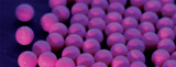 Valken Tracer 68 Caliber Zombie Haunt Paintballs under a UV light