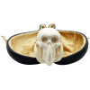 Deluxe Skull in Claw Meerschaum Pipe - B416217