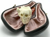 Skull and Lizard Meerschaum Pipe