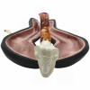 Ram Head Meerschaum Pipe - P818322