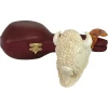 Deluxe Bison Head Hand Carved Meerschaum Pipe