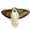 Special Cevher Signed Beowulf Meerschaum Pipe